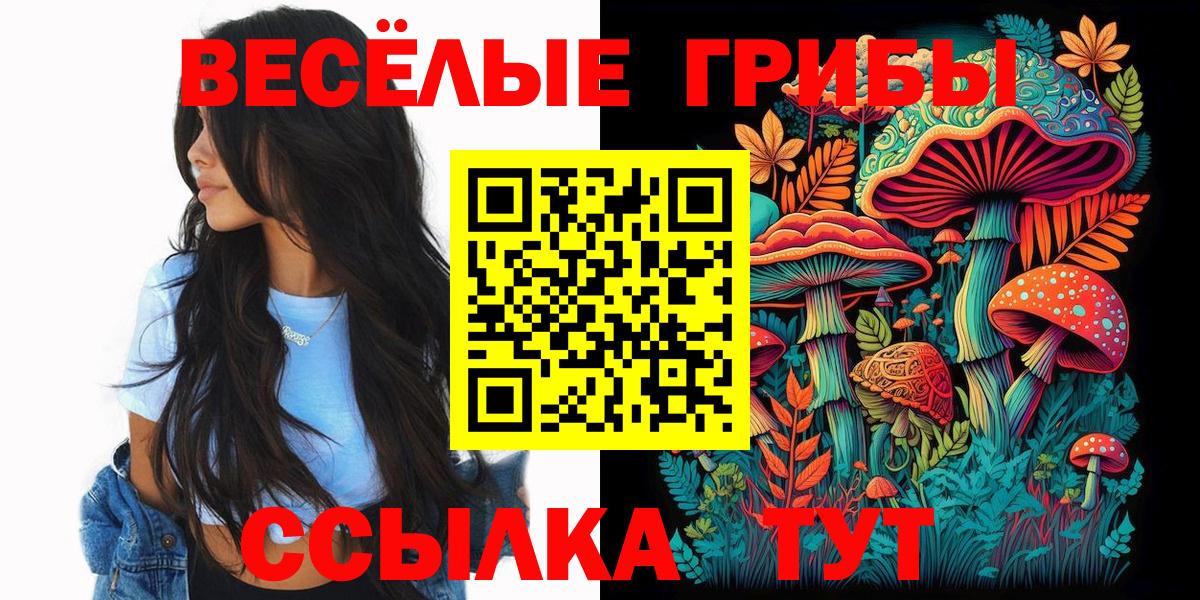 Железноводск  Галлюциногенные грибы ЛСД  Вход с VPN 
